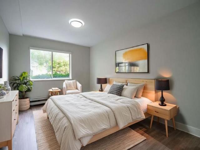 For Rent 1 Bedroom Apartment Abbotsford BC DLS98311038