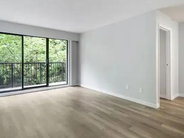 For Rent 1 Bedroom Apartment Abbotsford BC DS102242552