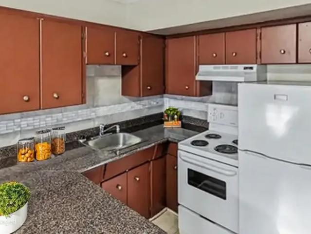 For Rent 1 Bedroom Apartment Abbotsford BC DS104710631
