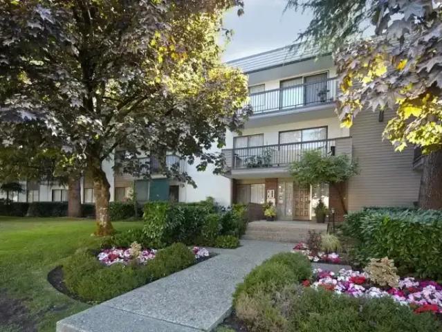 For Rent 1 Bedroom Apartment Burnaby BC DS102578691