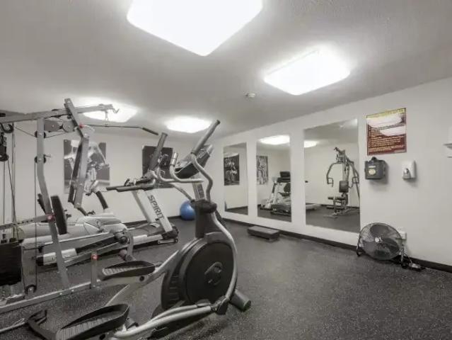 For Rent 1 Bedroom Apartment Burlington ON DLS101473571