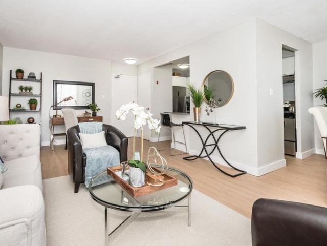 For Rent 1 Bedroom Apartment Burlington ON DS93800003