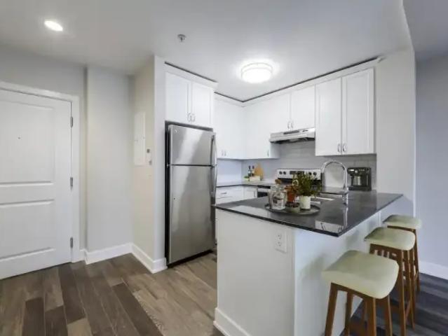 For Rent 1 Bedroom Apartment Burlington ON DS100807765