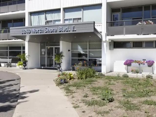For Rent 1 Bedroom Apartment Burlington ON DS101825786