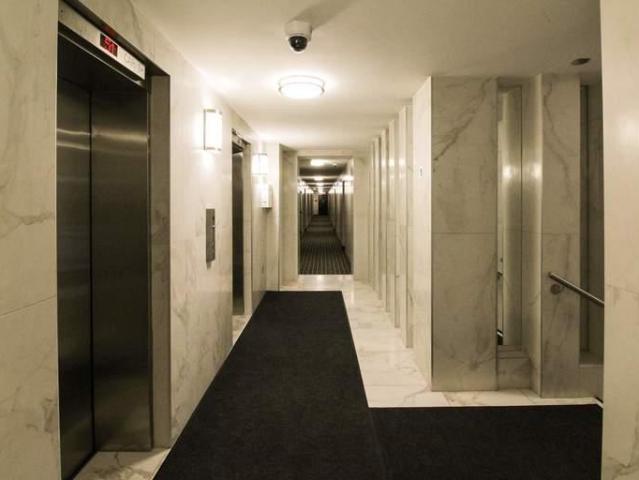 For Rent 1 Bedroom Apartment Brampton ON DLS88836114