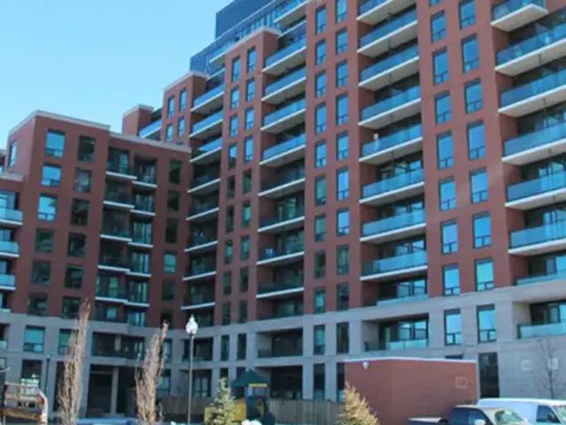 For Rent 1 Bedroom Apartment Brampton ON DS105166282