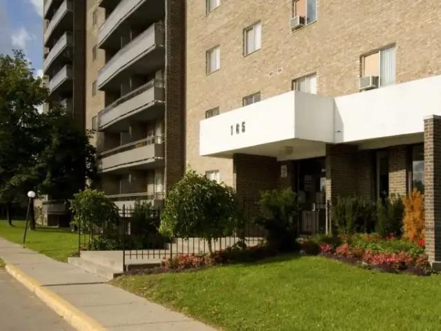 For Rent 1 Bedroom Apartment Brampton ON DS103423836