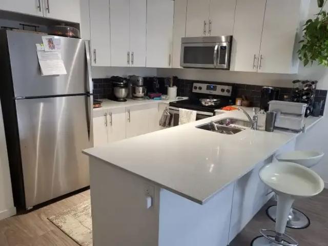 For Rent 1 Bedroom Apartment Calgary AB DLS102085566