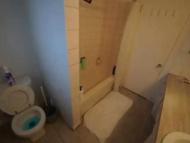 For Rent 1 Bedroom Apartment Calgary AB DLS98331943