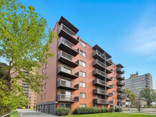 For Rent 1 Bedroom Apartment Calgary AB DS92134558