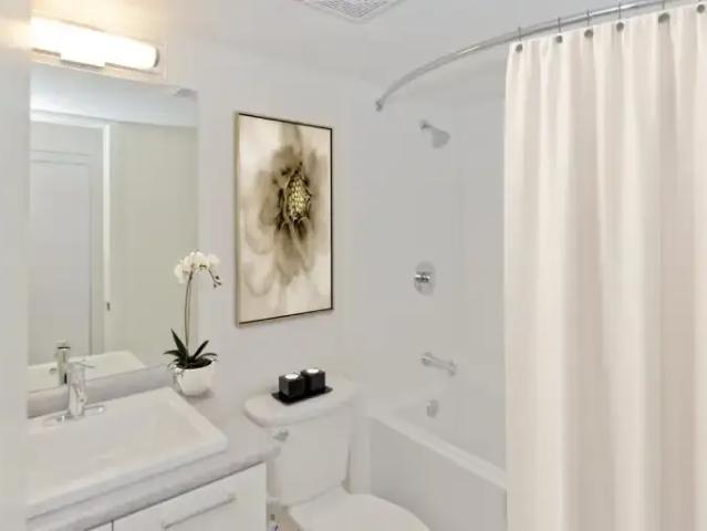 For Rent 1 Bedroom Apartment Calgary AB DS102914271
