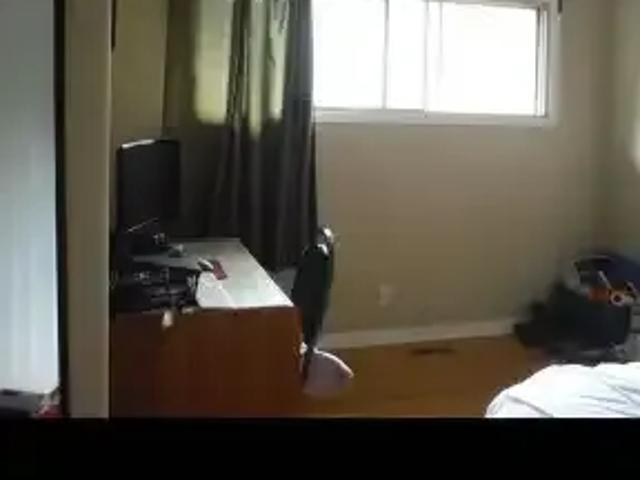 For Rent 1 Bedroom Apartment Calgary AB DS102271766