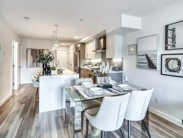 For Rent 1 Bedroom Apartment Calgary AB DS103541675
