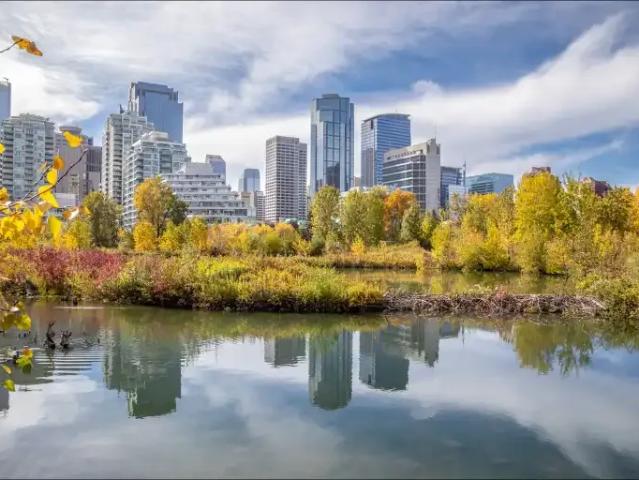 For Rent 1 Bedroom Apartment Calgary AB DS103091396