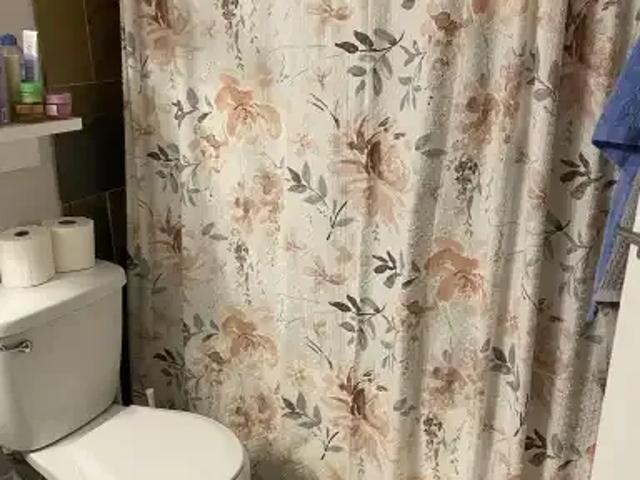 For Rent 1 Bedroom Apartment Calgary AB DS104941182