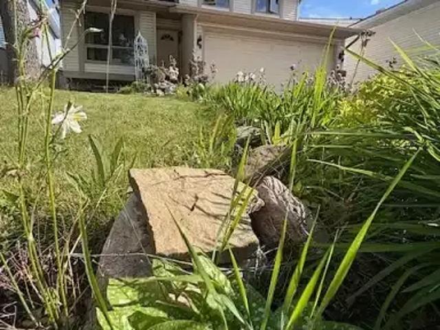 For Rent 1 Bedroom Apartment Calgary AB DS104180930