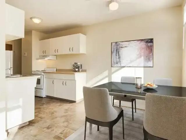 For Rent 1 Bedroom Apartment Camrose AB DS101215422