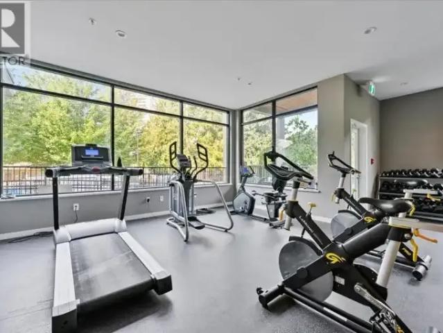 For Rent 1 Bedroom Apartment Coquitlam BC DLS102629483