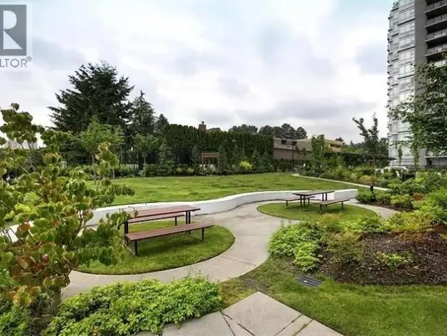 For Rent 1 Bedroom Apartment Coquitlam BC DS104506911