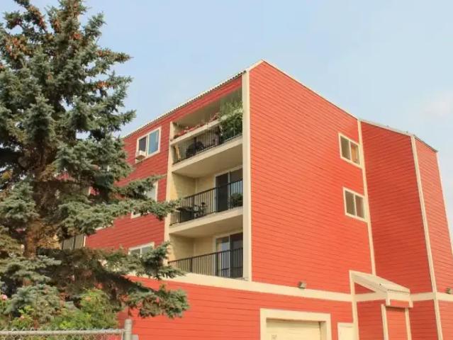 For Rent 1 Bedroom Apartment Dawson Creek BC DS103379476