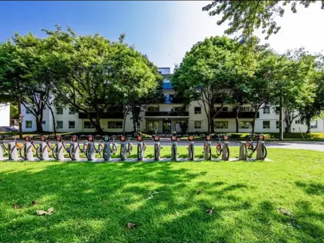 For Rent 1 Bedroom Apartment Etobicoke ON DLS97702705
