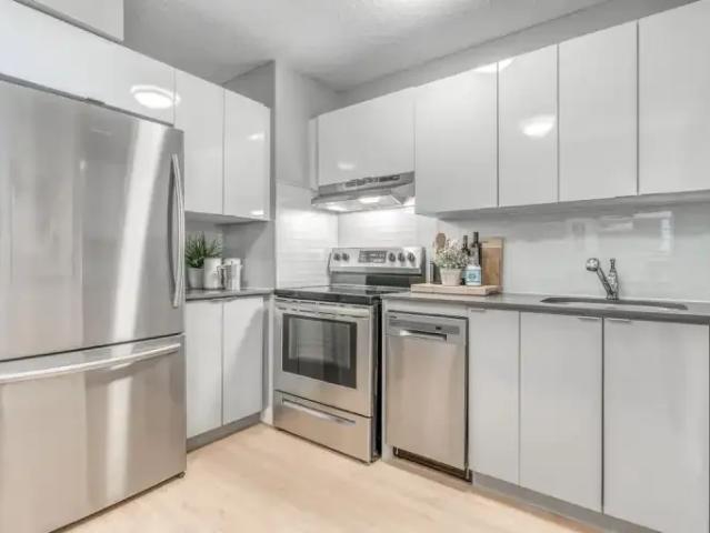 For Rent 1 Bedroom Apartment Edmonton AB DLS100487275