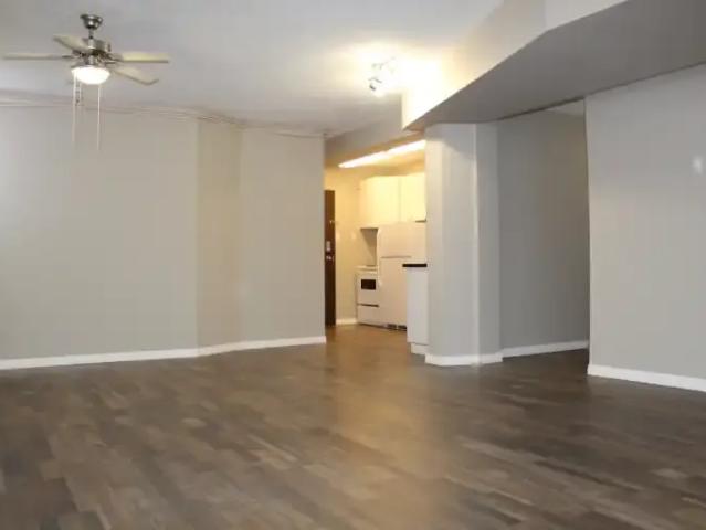 For Rent 1 Bedroom Apartment Edmonton AB DLS101014601