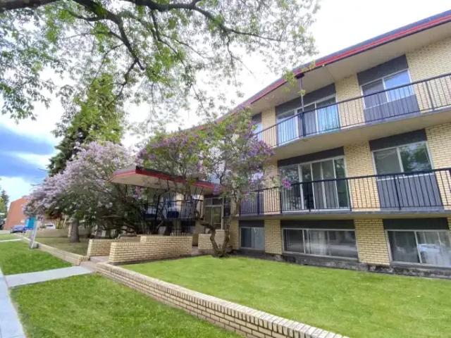 For Rent 1 Bedroom Apartment Edmonton AB DLS101554091