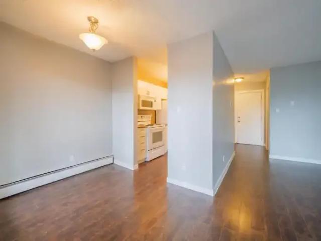 For Rent 1 Bedroom Apartment Edmonton AB DLS101789519