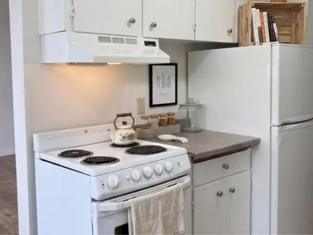 For Rent 1 Bedroom Apartment Edmonton AB DLS101789532