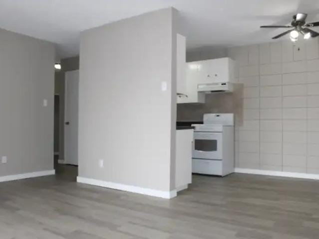 For Rent 1 Bedroom Apartment Edmonton AB DLS102051680