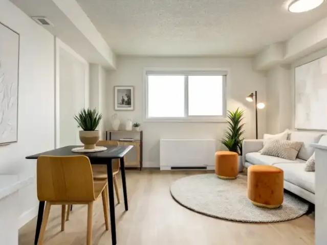 For Rent 1 Bedroom Apartment Edmonton AB DLS102306410