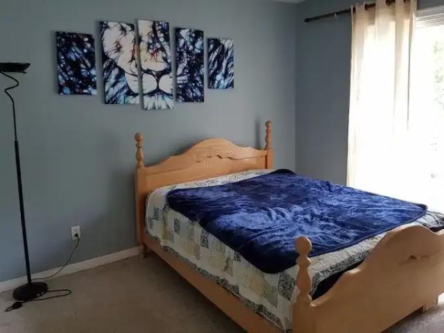 For Rent 1 Bedroom Apartment Edmonton AB DLS102579030