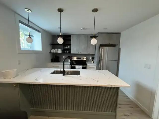 For Rent 1 Bedroom Apartment Edmonton AB DLS102752375