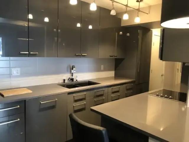 For Rent 1 Bedroom Apartment Edmonton AB DLS102845475