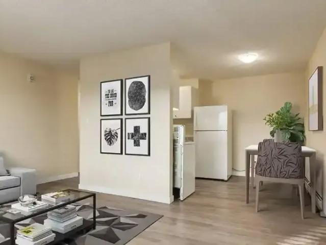 For Rent 1 Bedroom Apartment Edmonton AB DLS103010797