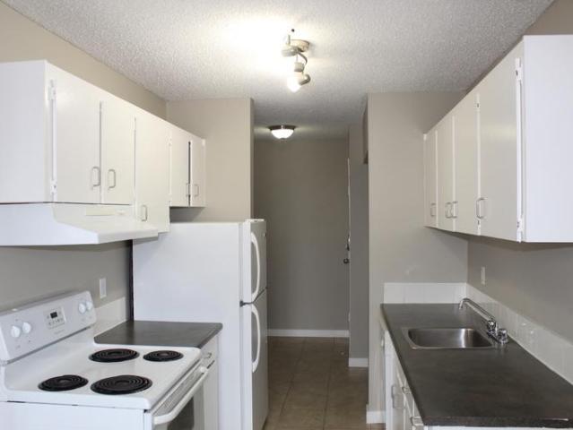 For Rent 1 Bedroom Apartment Edmonton AB DLS89920329