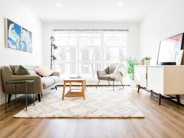 For Rent 1 Bedroom Apartment Edmonton AB DLS95173818