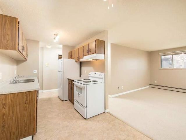 For Rent 1 Bedroom Apartment Edmonton AB DLS96246596