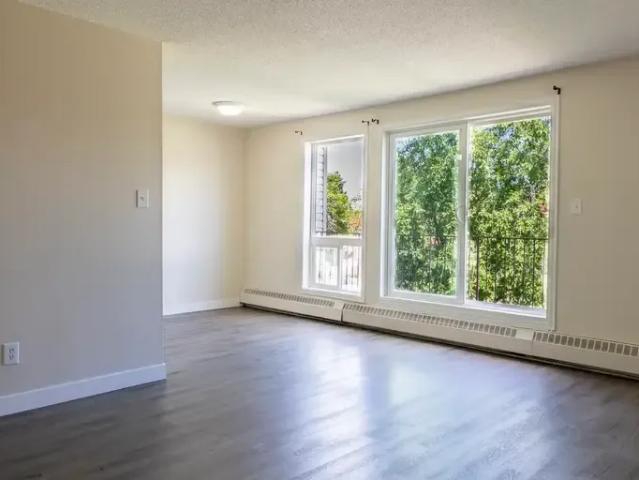For Rent 1 Bedroom Apartment Edmonton AB DLS96585918