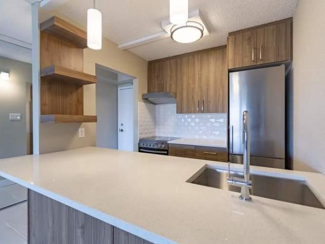 For Rent 1 Bedroom Apartment Edmonton AB DLS96586100
