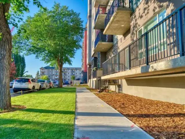 For Rent 1 Bedroom Apartment Edmonton AB DLS96589978