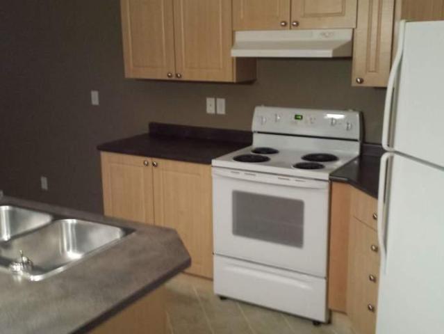 For Rent 1 Bedroom Apartment Edmonton AB DLS97005907