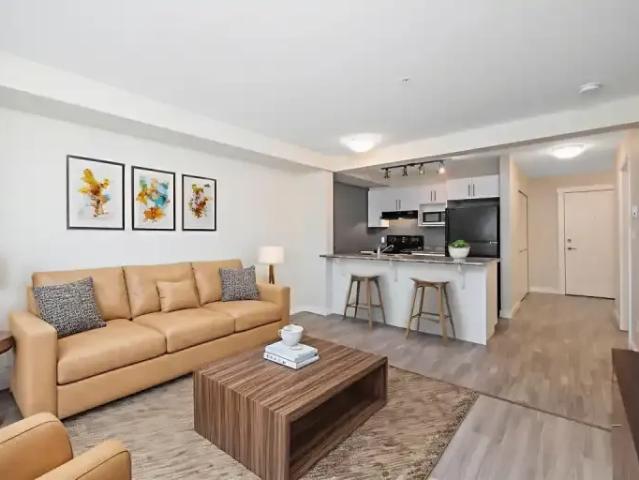 For Rent 1 Bedroom Apartment Edmonton AB DLS97839053