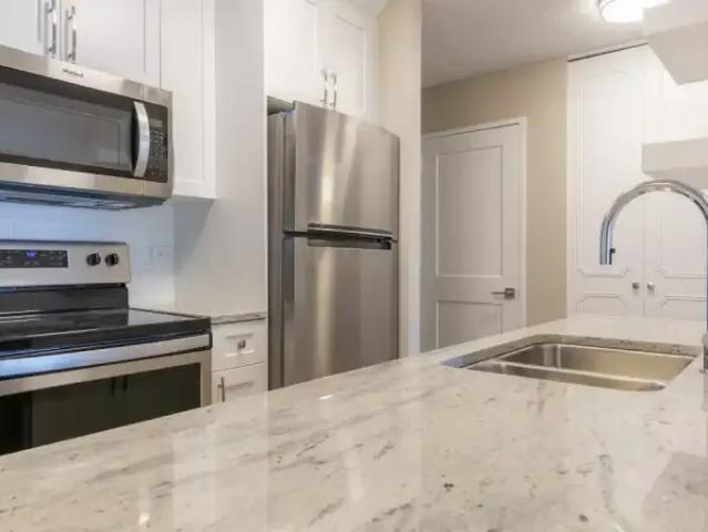 For Rent 1 Bedroom Apartment Edmonton AB DLS97969746