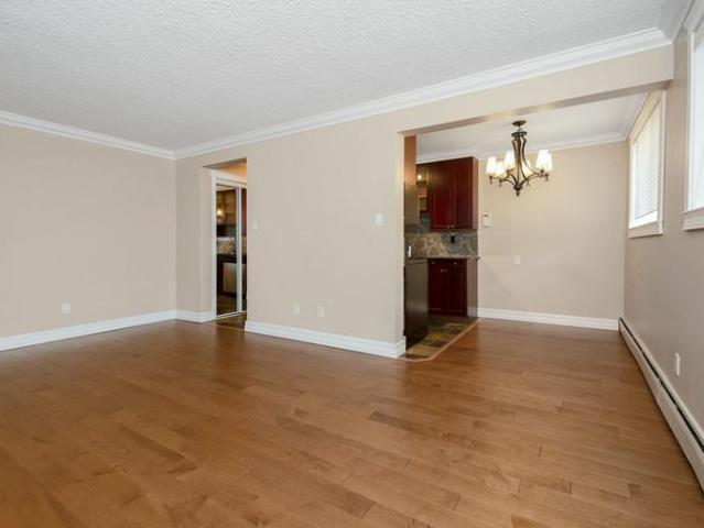 For Rent 1 Bedroom Apartment Edmonton AB DS104066489