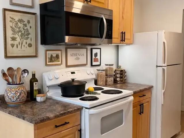 For Rent 1 Bedroom Apartment Edmonton AB DS104106715