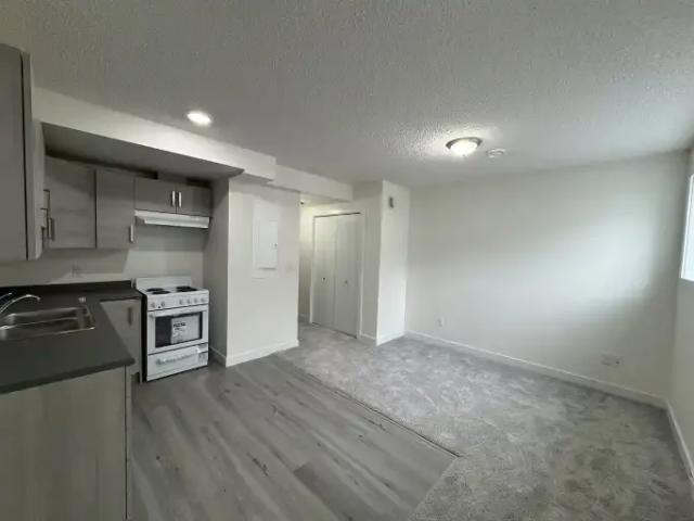 For Rent 1 Bedroom Apartment Edmonton AB DS104179888