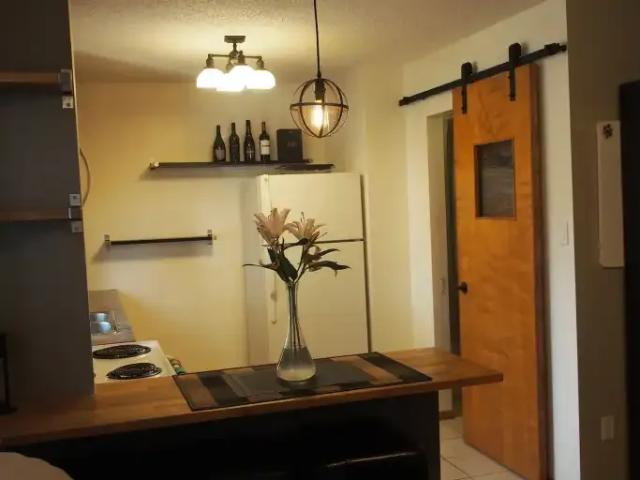 For Rent 1 Bedroom Apartment Edmonton AB DS104180211