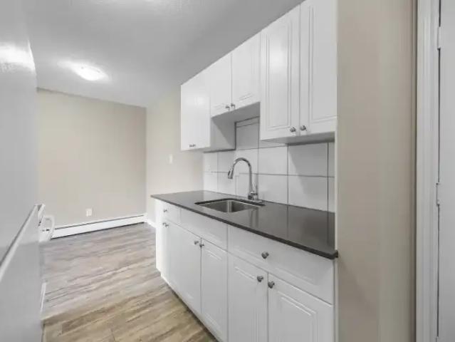 For Rent 1 Bedroom Apartment Edmonton AB DS104401599